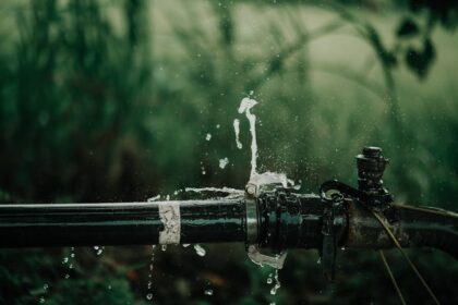 Expert Water Leak Detection Services in Auckland
