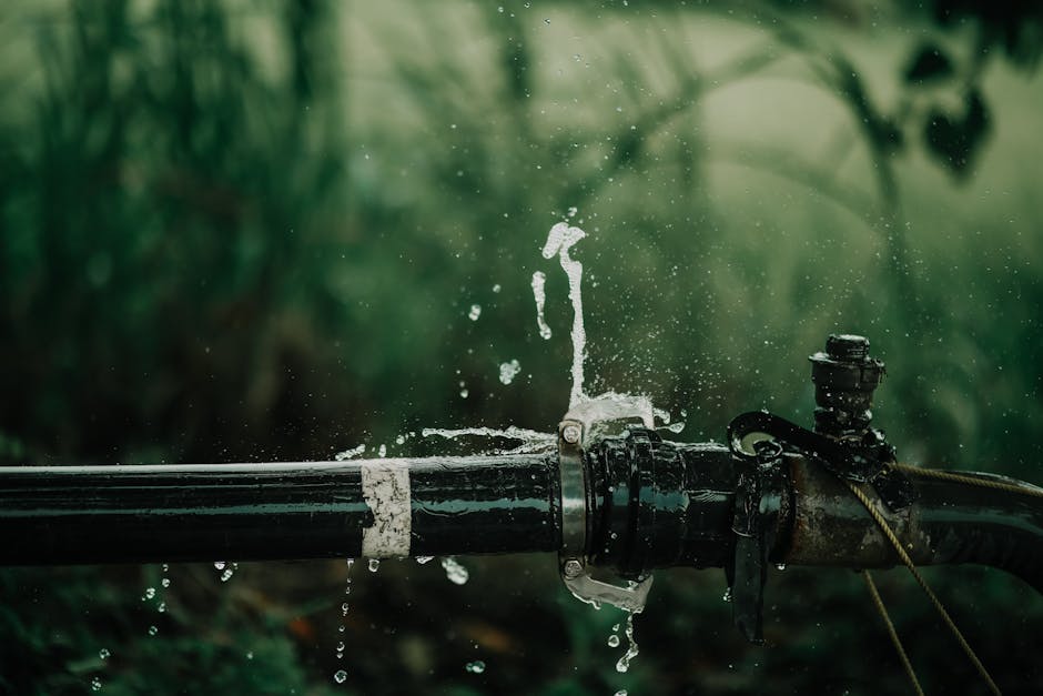 Expert Water Leak Detection Services in Auckland