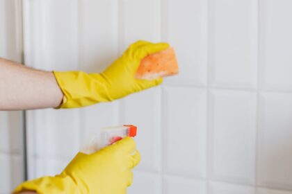 Transform Your Bathroom with Expert Tiling Services in Auckland
